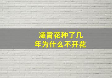 凌霄花种了几年为什么不开花