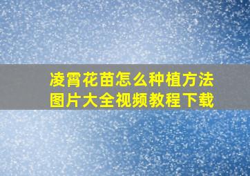 凌霄花苗怎么种植方法图片大全视频教程下载