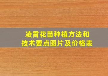 凌霄花苗种植方法和技术要点图片及价格表