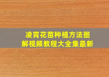 凌霄花苗种植方法图解视频教程大全集最新