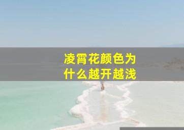 凌霄花颜色为什么越开越浅