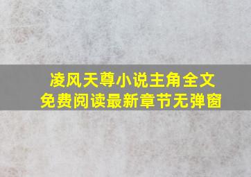 凌风天尊小说主角全文免费阅读最新章节无弹窗