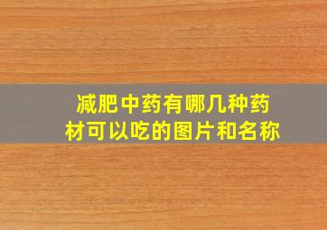 减肥中药有哪几种药材可以吃的图片和名称