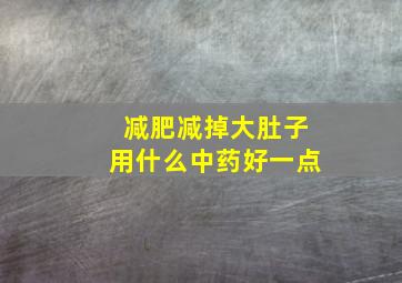 减肥减掉大肚子用什么中药好一点