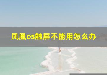 凤凰os触屏不能用怎么办