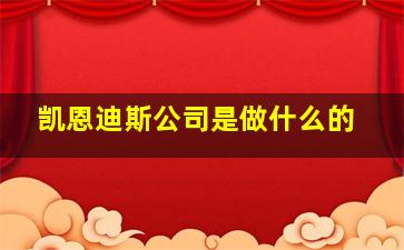 凯恩迪斯公司是做什么的