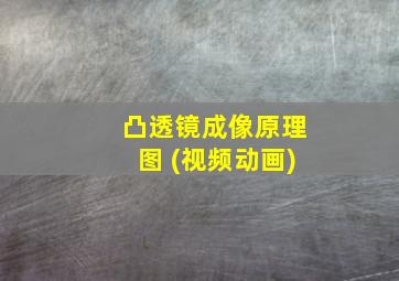 凸透镜成像原理图 (视频动画)