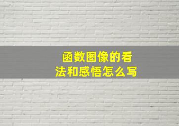 函数图像的看法和感悟怎么写