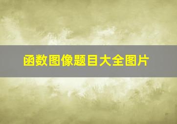 函数图像题目大全图片