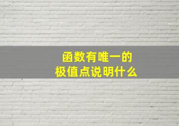 函数有唯一的极值点说明什么