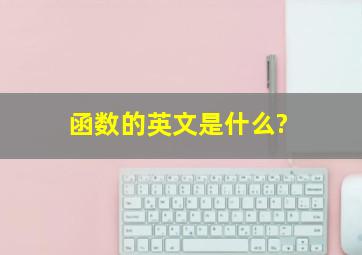 函数的英文是什么?