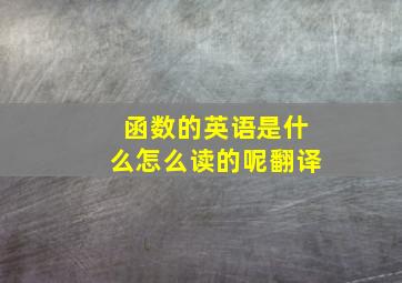 函数的英语是什么怎么读的呢翻译