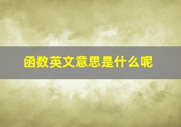 函数英文意思是什么呢