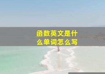 函数英文是什么单词怎么写