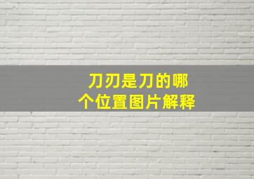 刀刃是刀的哪个位置图片解释