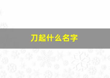 刀起什么名字