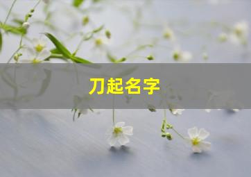 刀起名字