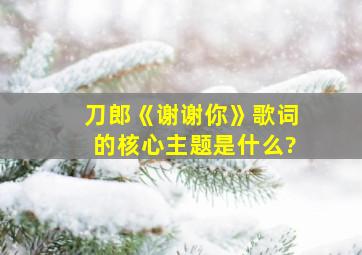 刀郎《谢谢你》歌词的核心主题是什么?