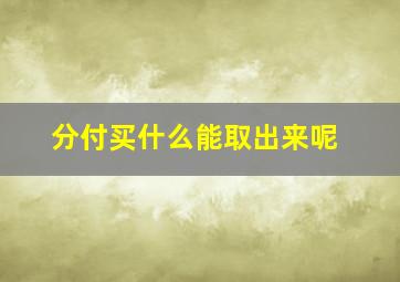 分付买什么能取出来呢