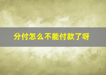 分付怎么不能付款了呀