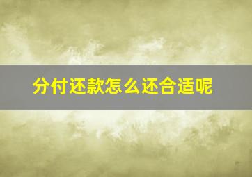 分付还款怎么还合适呢