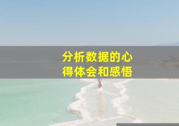 分析数据的心得体会和感悟