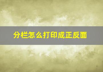 分栏怎么打印成正反面