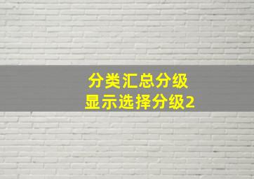 分类汇总分级显示选择分级2