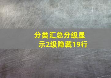 分类汇总分级显示2级隐藏19行