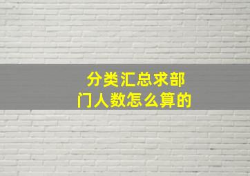 分类汇总求部门人数怎么算的