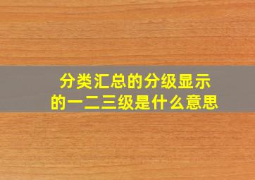 分类汇总的分级显示的一二三级是什么意思