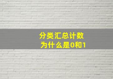 分类汇总计数为什么是0和1