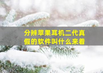 分辨苹果耳机二代真假的软件叫什么来着