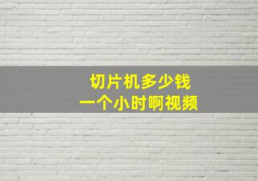 切片机多少钱一个小时啊视频