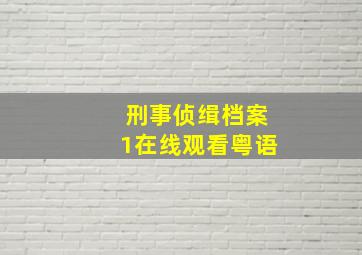 刑事侦缉档案1在线观看粤语