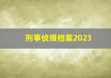 刑事侦缉档案2023