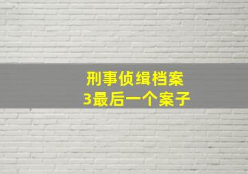 刑事侦缉档案3最后一个案子