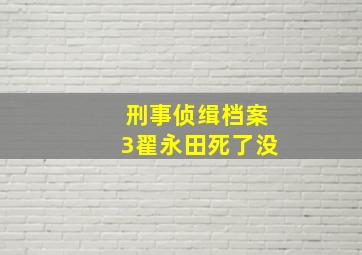 刑事侦缉档案3翟永田死了没