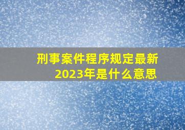 刑事案件程序规定最新2023年是什么意思