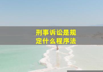 刑事诉讼是规定什么程序法