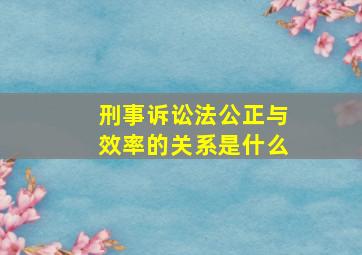 刑事诉讼法公正与效率的关系是什么