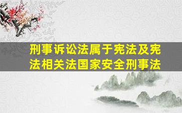 刑事诉讼法属于宪法及宪法相关法国家安全刑事法