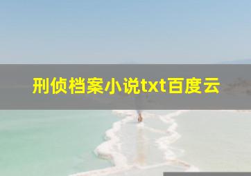 刑侦档案小说txt百度云