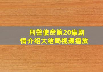 刑警使命第20集剧情介绍大结局视频播放