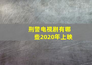 刑警电视剧有哪些2020年上映