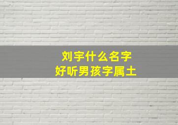 刘宇什么名字好听男孩字属土