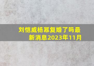 刘恺威杨幂复婚了吗最新消息2023年11月