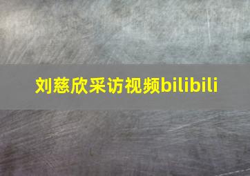 刘慈欣采访视频bilibili