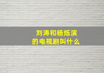 刘涛和杨烁演的电视剧叫什么