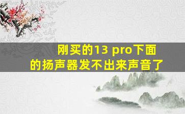 刚买的13 pro下面的扬声器发不出来声音了